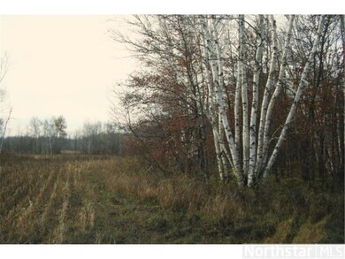 Mature birch trees near edge of field.