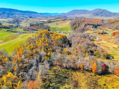 15.98 ac B F Buchanan Highway Quarter Horse Cir, Tazewell, VA 24608 - photo 7