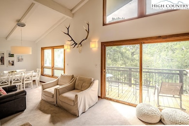 1499 Sugar Mountain Dr unit 10, Sugar Mountain, NC 28604 - photo 4