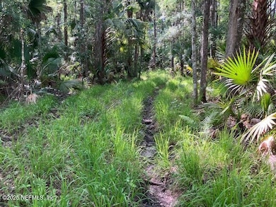 0220 Little Branch Tr, Interlachen, FL 32148 - photo 2