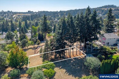 Parcel 2 2832 Doaks Ferry Rd NW, Salem, OR 97304 - photo 4