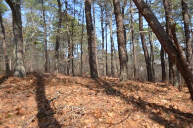 11 Peter M Williamson Blvd, Oak Bluffs, MA 02557 - photo 3