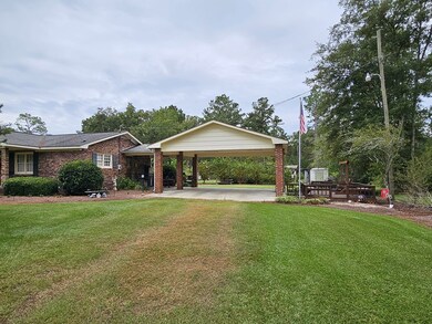 915 Riggs Store Rd, Meigs, GA 31765 - photo 5