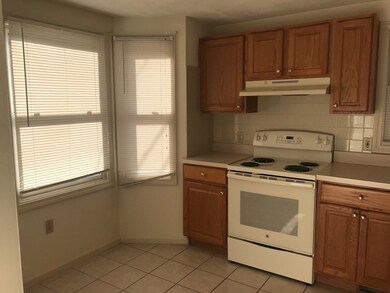 299 River St unit 299, Waltham, MA 02453 - photo 3