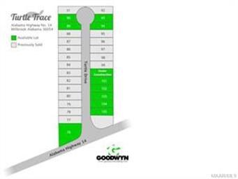 turtle trace plat