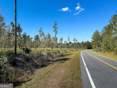 0 Stewart Cemetery Rd, Alma, GA 31510 - photo 6