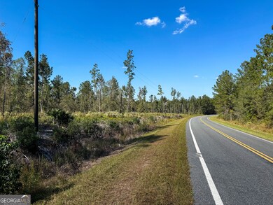 0 Stewart Cemetery Rd unit 10650398, Alma, GA 31510 - photo 6