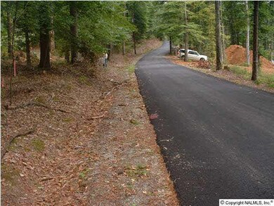 0 White Elephant Rd unit 939868, Grant, AL 35747 - photo 4