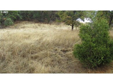 0 SE Meadowlark Ave unit 23438357, Myrtle Creek, OR 97457 - photo 6