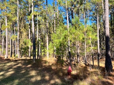 0 Mariners Way unit 549675, Lincolnton, GA 30817 - photo 2