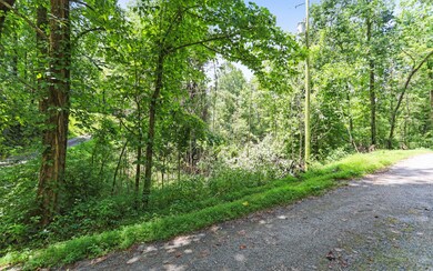 Additional View