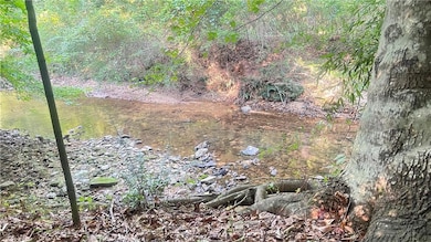 View of stream behind house