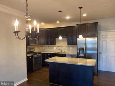 43075 Thoroughfare Gap Terrace, Ashburn, VA 20148 - photo 4