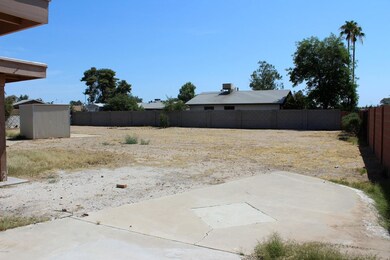 Expansive Backyard