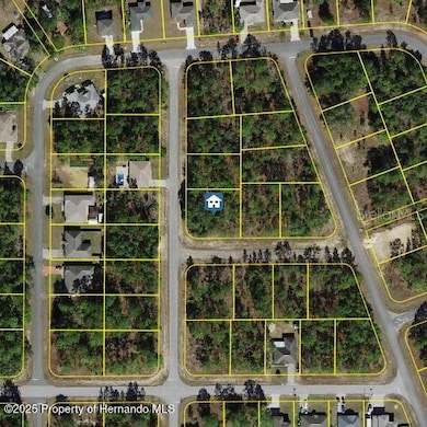 647 W Tulip Ln, Citrus Springs, FL 34434 - photo 2