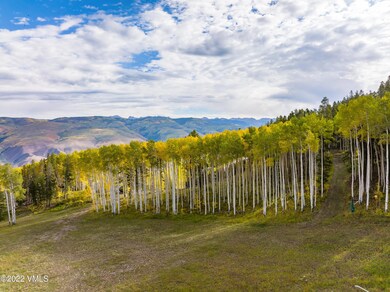 bachelor_gulch_lot_23_aerial_c