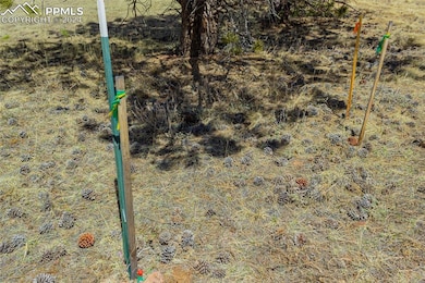 stake marks the SW corner of property