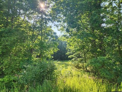 0 Rocky Ford Rd unit 899156, Bedford, VA 24523 - photo 2