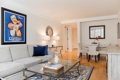 Ritz-Carlton Residences Tower 1 unit 304, Boston, MA 02111 - photo 5