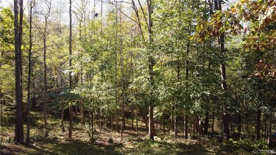 Creek Runs through Property