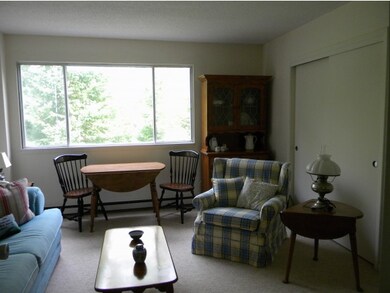 20 Avalanche Way unit 23, Waterville Valley, NH 03215 - photo 7