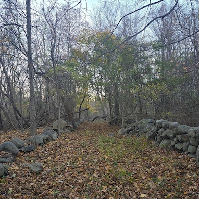 79 Hillside St, Milton, MA 02186 - photo 3