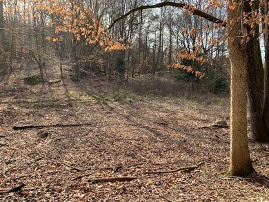 000 Big Bottom Rd, Sparta, TN 38583 - photo 6