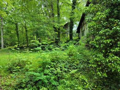 107 Bailey Hills Rd, Franklin, NC 28734 - photo 2