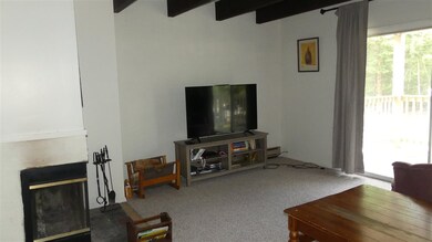 3 Fox Meadow Ln unit 3C, Dover, VT 05356 - photo 5