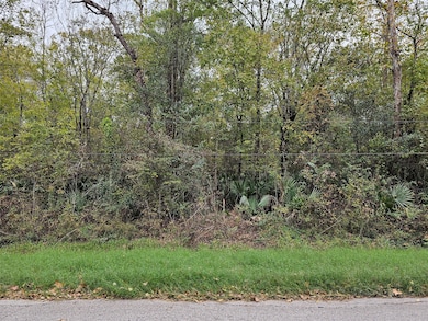 0000 A Lyric Rd, Conroe, TX 77302 - photo 3