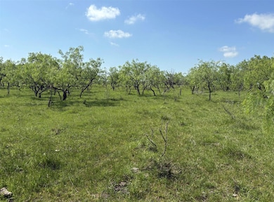 TBD 00 County Road 4160, Frost, TX 76641 - photo 2
