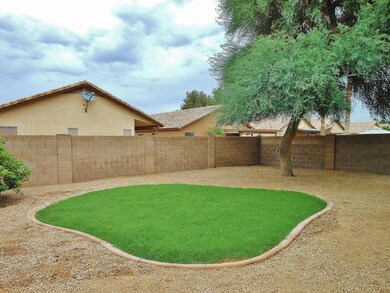 Yard Grass