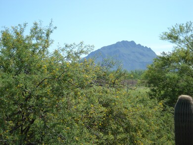DSC06089