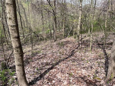 1938 Beham Ridge Rd, Claysville, PA 15323 - photo 4