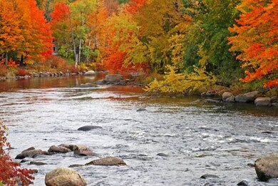 103 River Rd, Concord, NH 03303 - photo 7