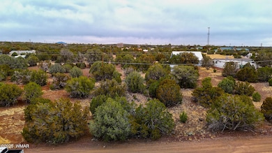 dji_fly_20250326_154952_0546_17430873262