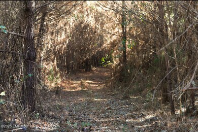 000 Suqualena Meehan Rd S, Meridian, MS 39307 - photo 6