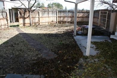 backyard (fenced in area)
