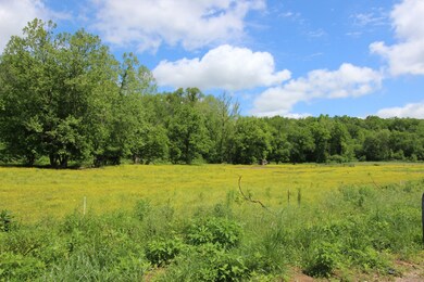 144 Hurricane Creek Dr, Tennessee Ridge, TN 37178 - photo 3
