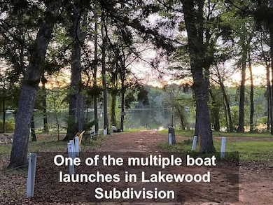 179 Byron Ct, Shadybrook, TX 75757 - photo 3