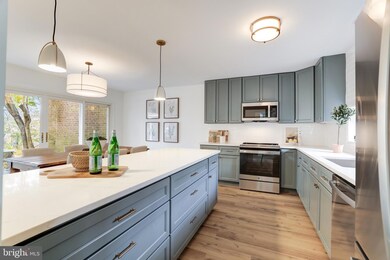 11551 Links Dr, Reston, VA 20190 - photo 6