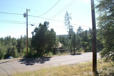 235 Jan Dr, Pine, AZ 85544 - photo 3