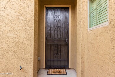 Security Screen Entry Door