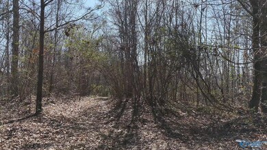 23 N George Adams Rd, Hytop, AL 35768 - photo 6