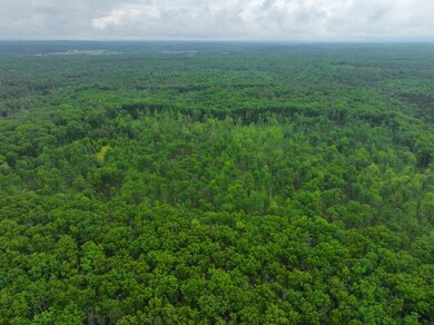 DJI_20250618155405_0641_D