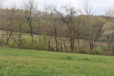 view from rear of property to the road.