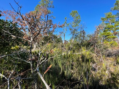 TBD Lot #19 Sea Oaks Dr unit 19, Perry, FL 32348 - photo 6