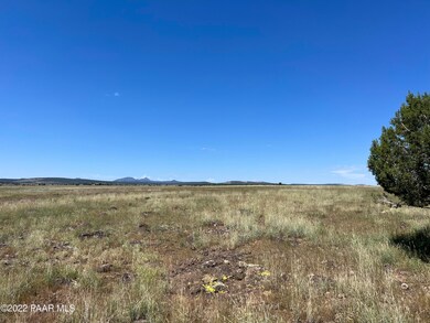 S2 90 Lowe Ranch Rd, Ash Fork, AZ 86320 - photo 2