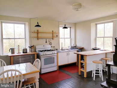 1651 Blue Ridge Farm Rd, Upperville, VA 20184 - photo 3