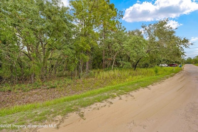 0000 Maybird Ave, Weeki Wachee, FL 34613 - photo 5